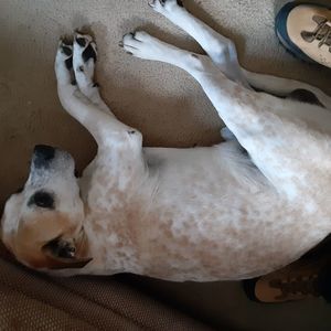 Meet your Posher, Chad